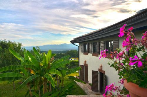 Hotel Le Ali Del Falco