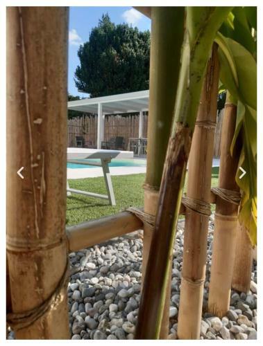 Apartamento Appartamento Vittoria