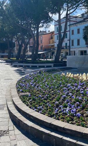 Molino Apartments