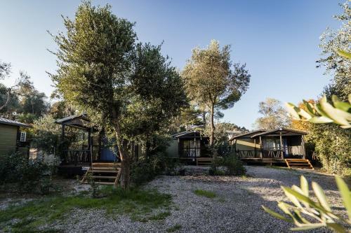 Oasi Village & Camping
