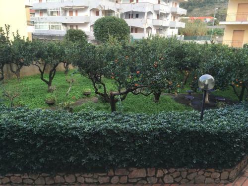 Apartamento Appartamento In Spaziosa Villa Con Giardino