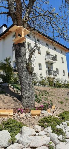 B&B Sognoincadore