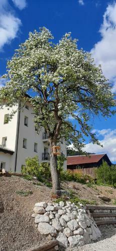 B&B Sognoincadore