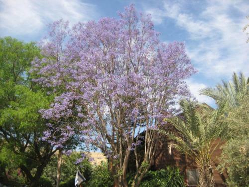 Yavne'el Lodge