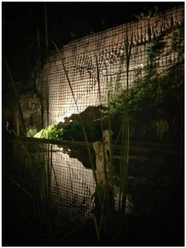 Apartamento Giardino Dell'impossibile