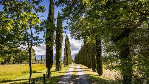 Villa Podere La Specola 18