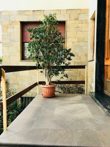 B&B Monteverdi