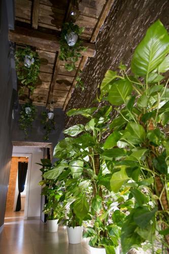 Hostal Le Boutique Luxury Resort