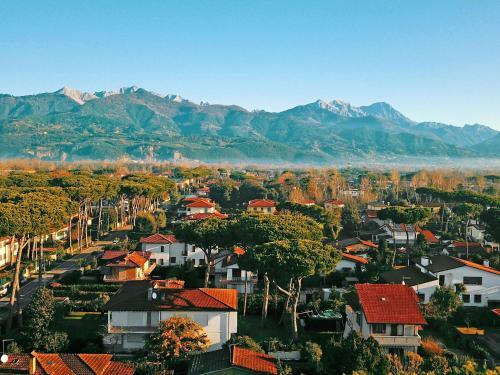 Villa Locazione Turistica Verdeoro