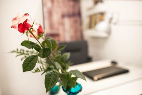 Apartamento Romagnabnb Campus House