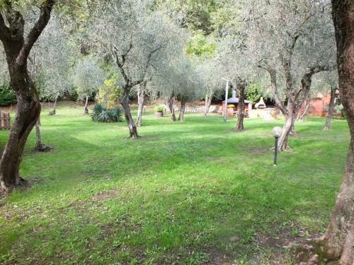 Gli Ulivi Bed & Breakfast