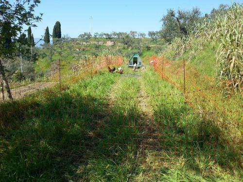 Agroturismo La Pippola De' Cerchi