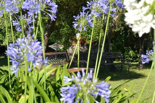 Agroturismo La Pippola De' Cerchi