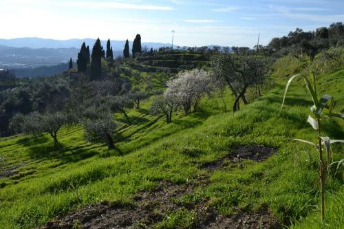 Agroturismo La Pippola De' Cerchi