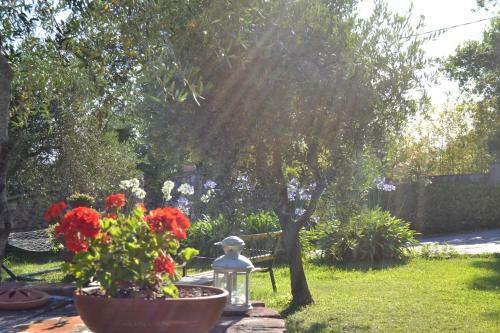 Agroturismo La Pippola De' Cerchi