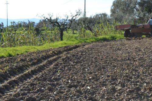 Agroturismo La Pippola De' Cerchi
