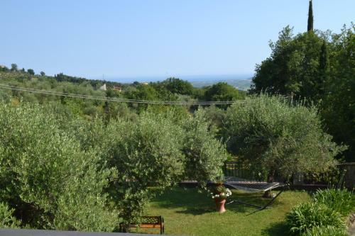 Agroturismo La Pippola De' Cerchi