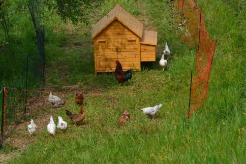 Agroturismo La Pippola De' Cerchi