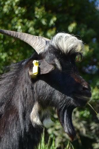 Agroturismo La Pippola De' Cerchi
