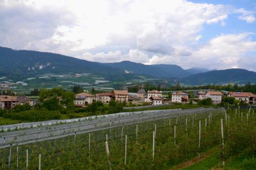 Agroturismo Agritur Fiore