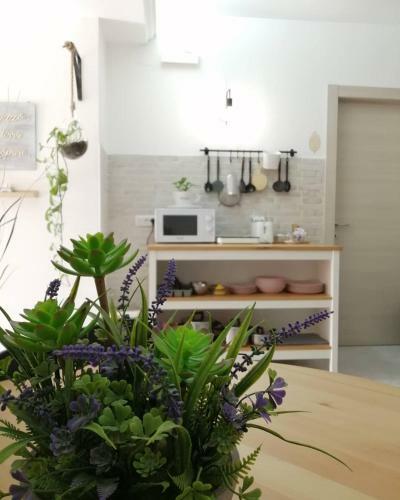 Bed & Breakfast Il Magnolia