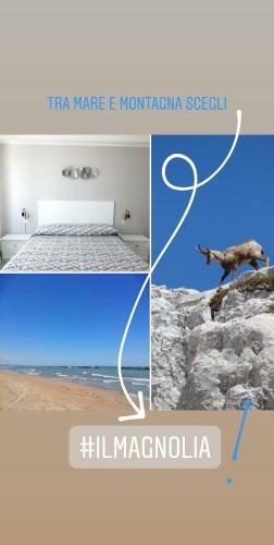 Bed & Breakfast Il Magnolia