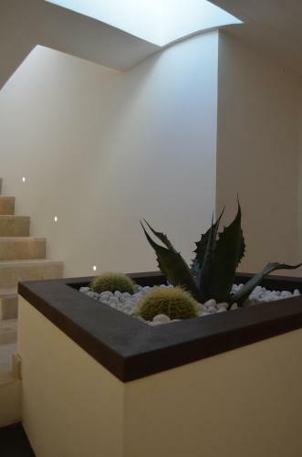 B&B Salentus