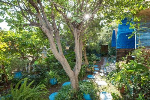 Havaya Ba Nof Lodge