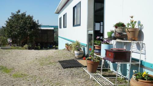Galilee Bedouin Camplodge