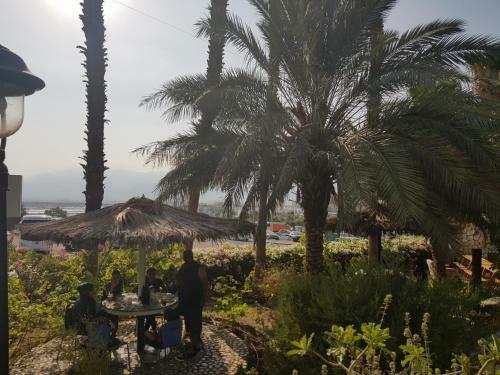 Arava Hostel