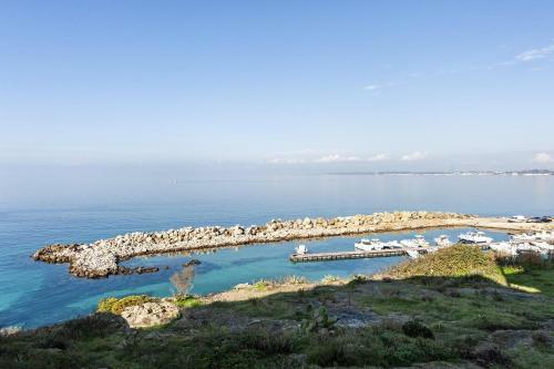 Apartamento Monolocale Sale Rosa - Gallipoli