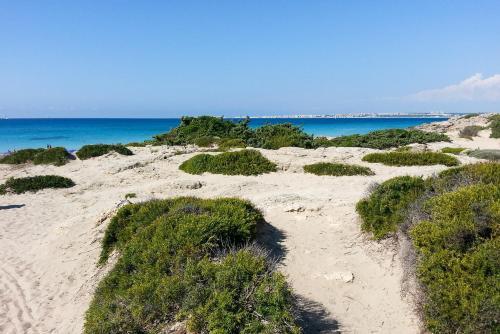 Apartamento Appartamento Spiaggia Gallipoli Con Garage M360