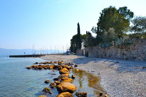 Apartamento Orchidea Liano