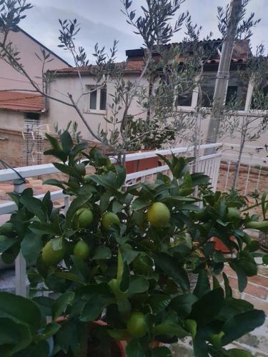 Apartamento La Dimora Del Cont'orto