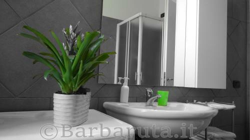Apartamento Barbaruta Rta
