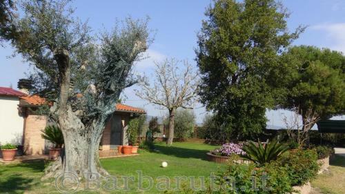 Apartamento Barbaruta Rta