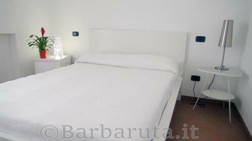 Apartamento Barbaruta Rta