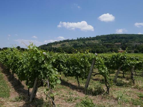 Apartamento Villa Cavalletti Appartamenti