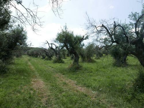 Apartamento Villa Cavalletti Appartamenti