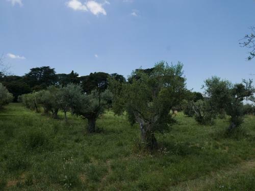 Apartamento Villa Cavalletti Appartamenti