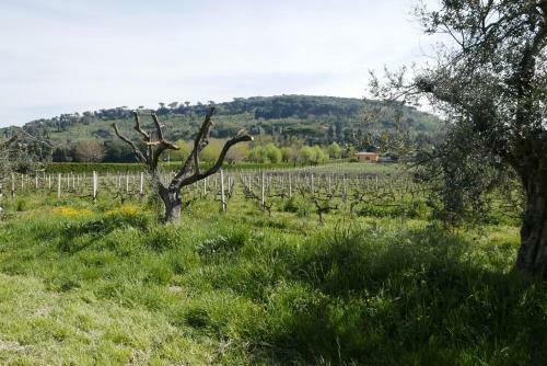 Apartamento Villa Cavalletti Appartamenti