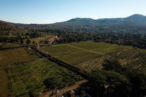 Apartamento Villa Cavalletti Appartamenti