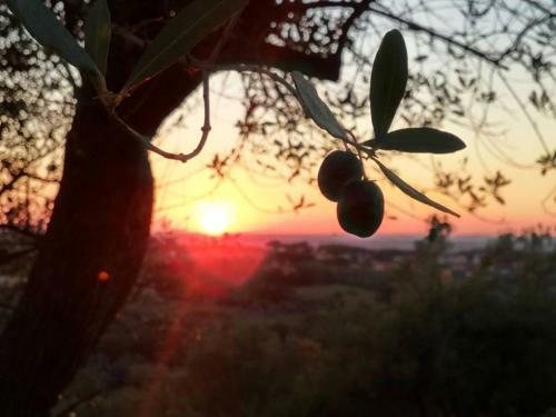 Apartamento Villa Cavalletti Appartamenti