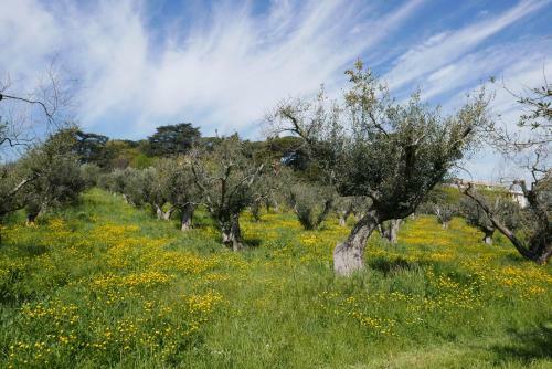 Apartamento Villa Cavalletti Appartamenti