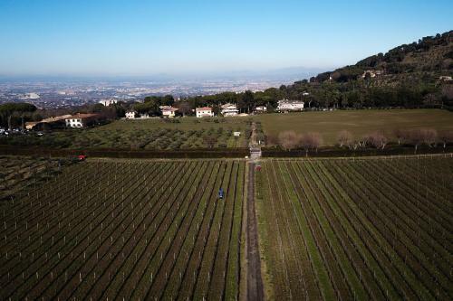Apartamento Villa Cavalletti Appartamenti