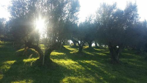 Apartamento Villa Cavalletti Appartamenti