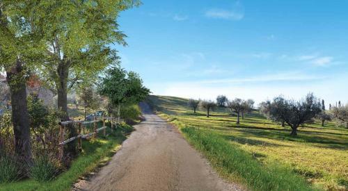 Apartamento Agriturismo Sant'angelo Countryhouse