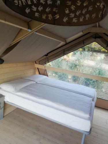 Glamping Prataccio
