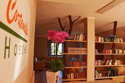 Agroturismo Cortemalis Hostel