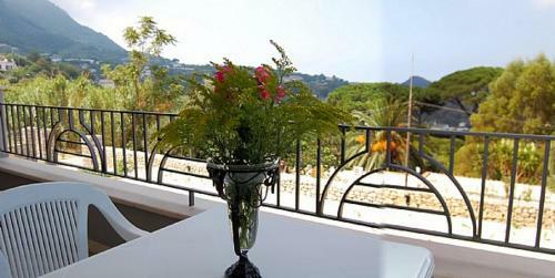 Ischia Villa Sleeps 3 Air Con